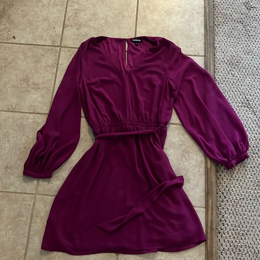 Balloon sleeve Express Mini Dress